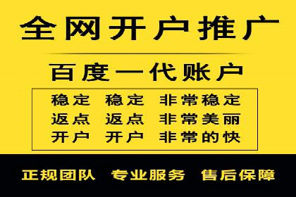 SEM投放策略：成功案例解析